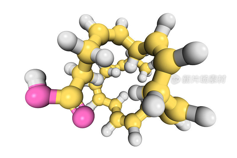 DHA -3脂肪酸